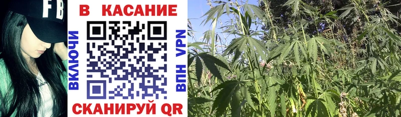 Виды наркоты Закаменск Марихуана COCAIN СОЛЬ Галлюциногенные грибы Гашиш