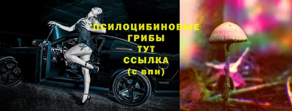 крисы Абдулино
