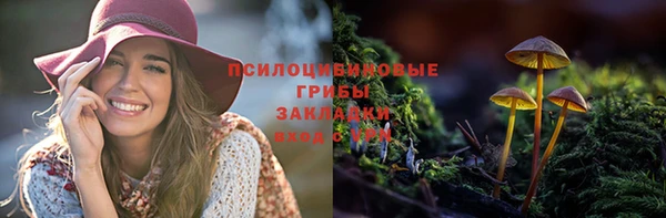 крисы Абдулино