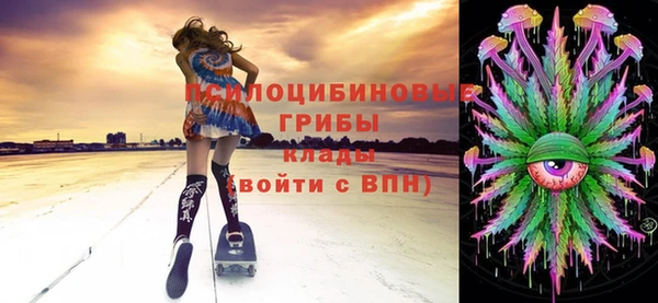 spice Алексеевка