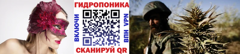 ОМГ ОМГ ссылка Закаменск Шишки марихуана White Widow